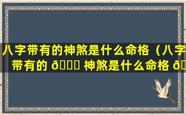 八字带有的神煞是什么命格（八字带有的 🍁 神煞是什么命格 🌷 呢）